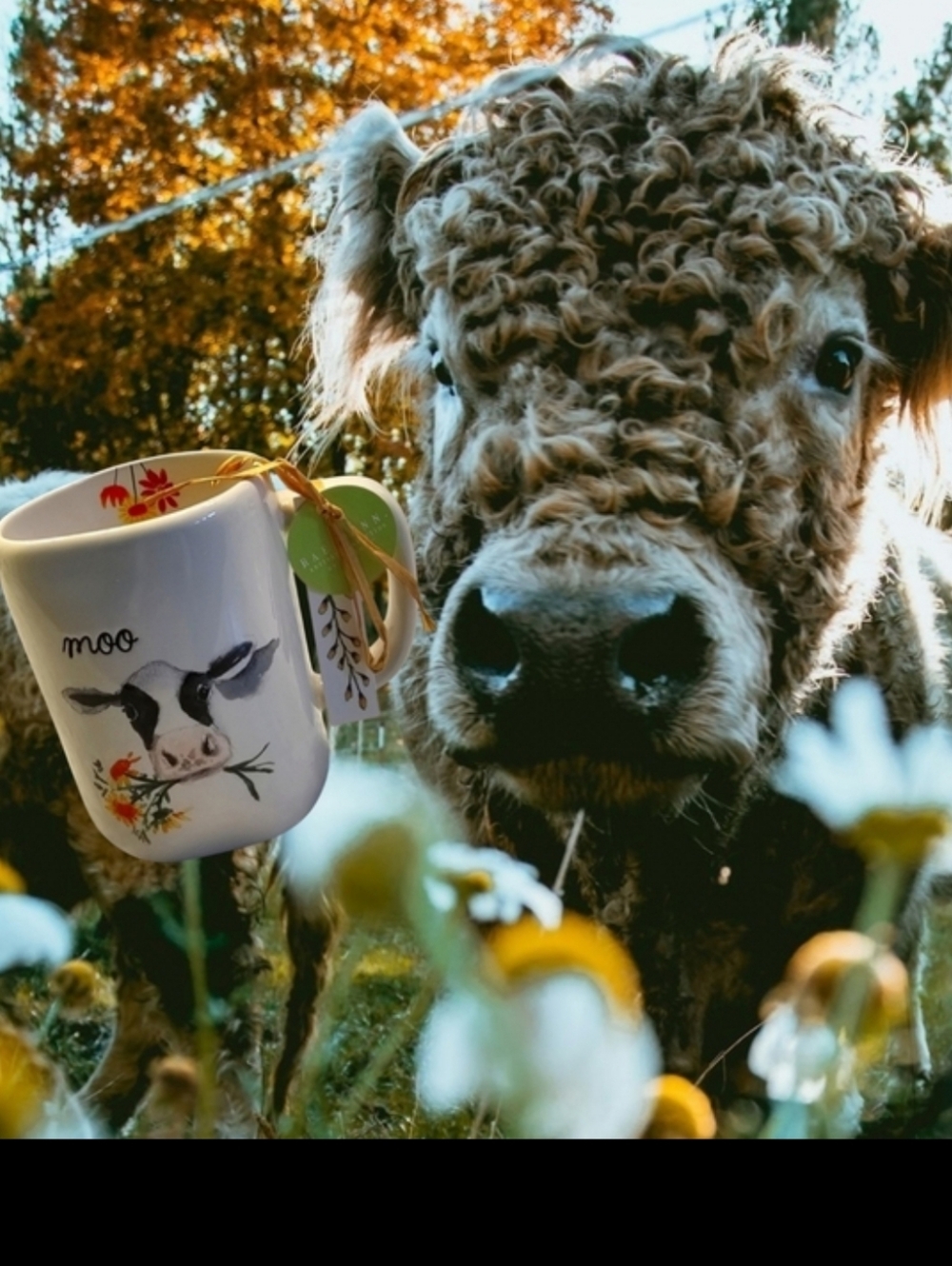 Nwt Rae Dunn Brand New Moo Cow mug with flowers in mouth